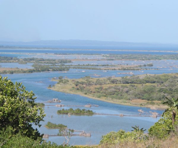 Best of Kosi Bay Experience 2